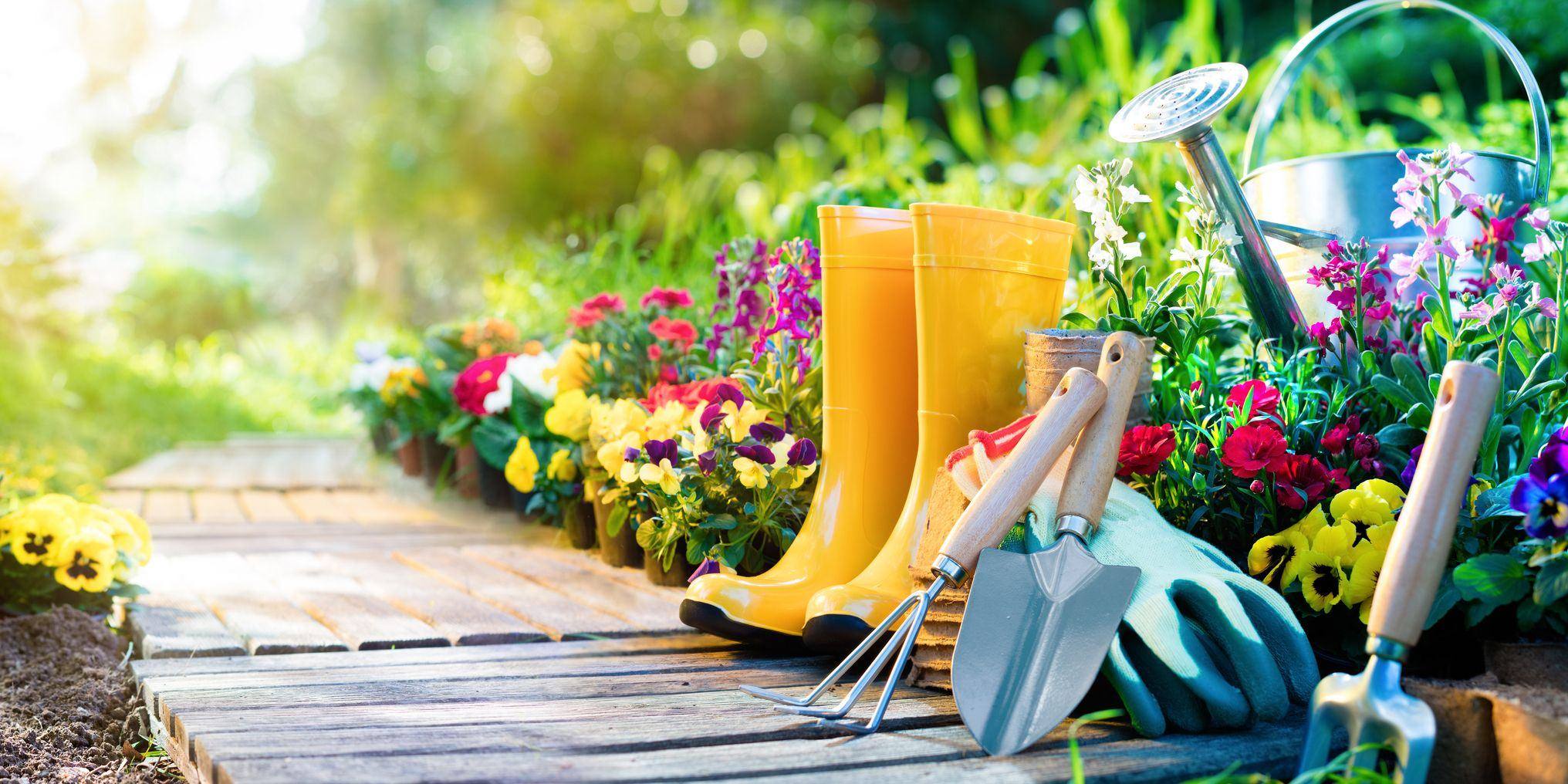 🌱  Groveilixf : your seasonal garden assistant